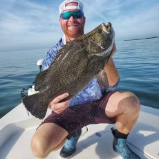 Dmitri Stefaniwsky profile photo