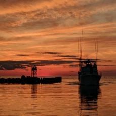 Louis Hocker profile photo