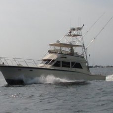 Troy Birchfield profile photo