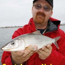 James Nelson profile photo