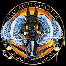 Blue Bird Charter profile photo