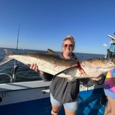 Daniel Morrison profile photo