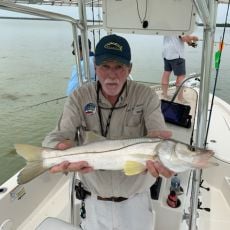 Mark Gibson profile photo