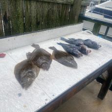 Creative Contracting Ta What's Up Dock Charters profile photo