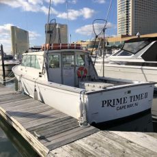 Steve Beer profile photo