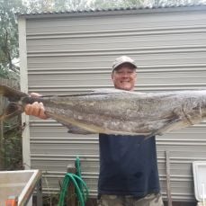 Bill Perkins profile photo