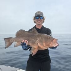 Cody Snead profile photo