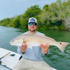 Nick Pisculli profile photo