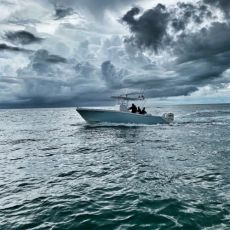 Captain Jay Charters profile photo