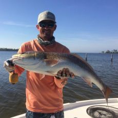 Wes Nelson profile photo