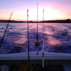 Bobby Cavender profile photo