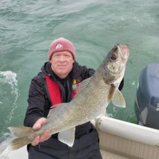 David Faller profile photo