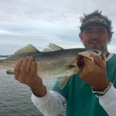 Will Ross profile photo