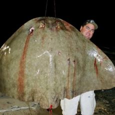 Greg Steen profile photo