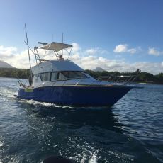 TRIPLE STRIKE CO LTD profile photo