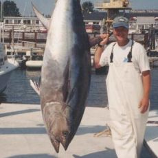 Ken Hejducek profile photo