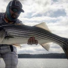 Andrew Hammond profile photo