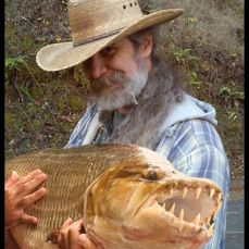 Steve Huber – Crescent City