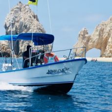 BlueSea Sportfishing profile photo