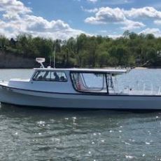 Bob Flynn profile photo