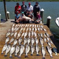 Brandon Kendrick profile photo