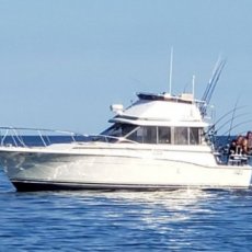 Stuart Fenendael profile photo