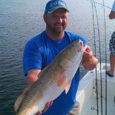 David Bourgeois profile photo