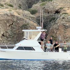 Anton Faicchio profile photo