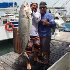 Nuj Kay profile photo