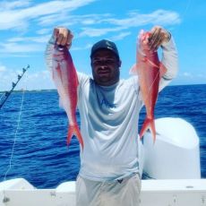 Javichos Tours profile photo