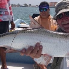 Reel Em In Fishing Charters