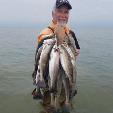 Terry Hashop profile photo