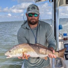 Mike Rentz profile photo