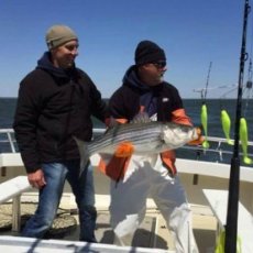 Lucky Strike Fishing Charters profile photo