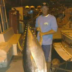 Jim Wigzell profile photo