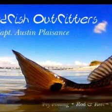 Austin Plaisance profile photo