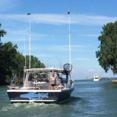 Bill Hitchcock profile photo