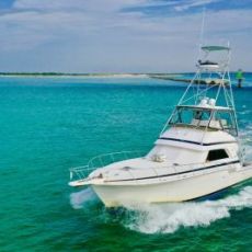 Into The Blue profile photo