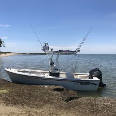 Chesapeake Coastal Charters profile photo