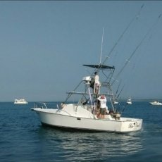 Blue Pearl Sportfishing profile photo