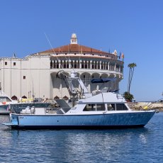 Adam Olson profile photo