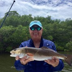 Dave Eliasson profile photo