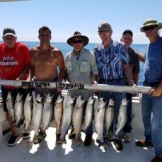 Mark Daloia profile photo