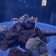 Playin' Hookey Fishing Charters