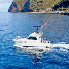 Mick French profile photo