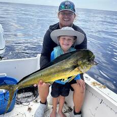 Torre Palmeno profile photo