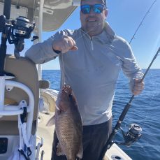 Coastal Life Outfitters,  MASFA