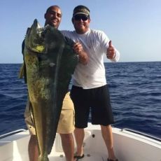 Josh Holmes profile photo