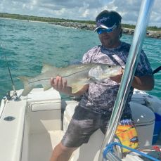 Andrew Terenik profile photo