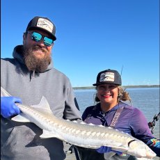 Sean Stafford profile photo